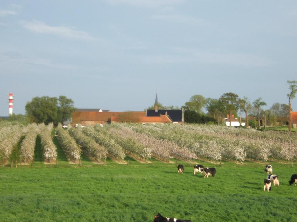 La Vallee Des Trois Monts Saint-Sylvestre-Cappel Exterior photo